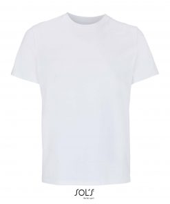 Alternative view of LEGEND - 03981 - SOL'S